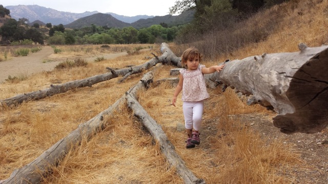 Toddler hiking Malibu Creek Trail