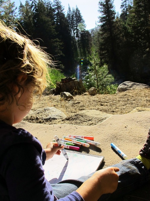 kid drawing in sequoia