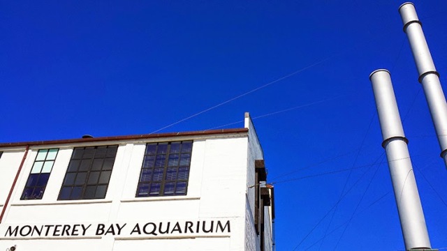 Monterey Bay Aquarium Entrance